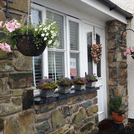 Snowdonia Snug - Studio Style Accommodation Dolgellau Buitenkant foto