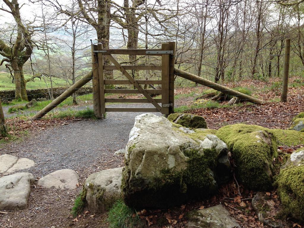 Snowdonia Snug - Studio Style Accommodation Dolgellau Buitenkant foto