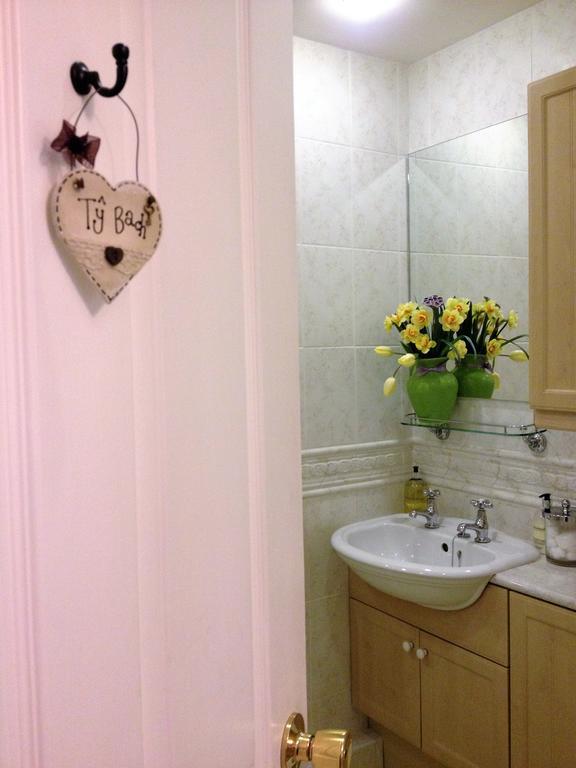 Snowdonia Snug - Studio Style Accommodation Dolgellau Buitenkant foto